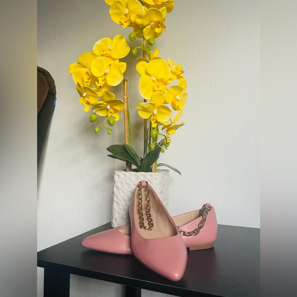 6.5 ANTONIO MELANI Leather Pink Ankle-chain Ballerina Flats✨Like New